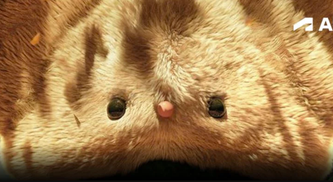 Raise the creative bar with next-gen tools in Maya