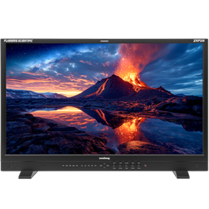 Flanders Scientific XMP310