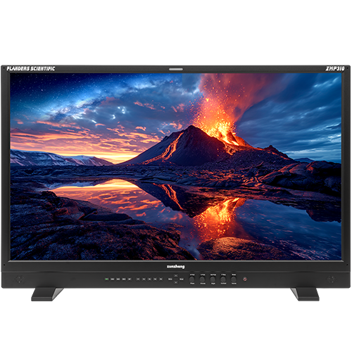 Flanders Scientific XMP310